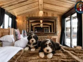 Dalbeattie Retreat Puppy Lounge, Games Room, Arcades