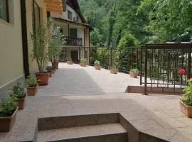 Casa Crina