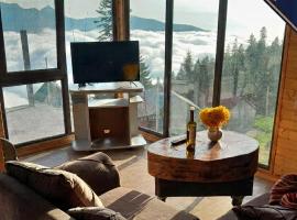GomisMta-Luxury Cottage with Panor, hotel v mestu Ozurgetʼi