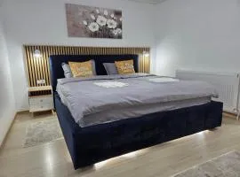 Luna Studio