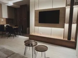 Luxury apartment 3 Struga