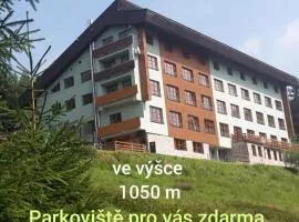 Vysokohorský Apartmán Cihlářka