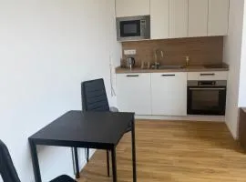 Central Apartments Opava - Studio
