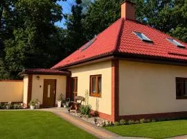 Pod skrzydłami