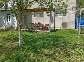 Beloved Home