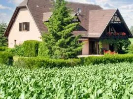 Appartement charmant à Hochfelden - 100 m² et parking gratuit