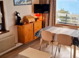 Appartement cosy avec balcon + Vue sur la montagne - 38 m²