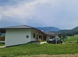 MASO CLENA