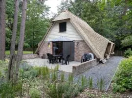 Zwaan 7