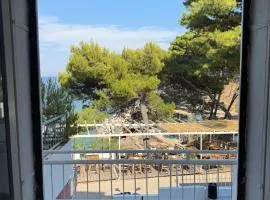 Apartmani Družijanić -La Petit Paradis-