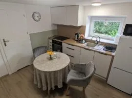 Przytulny apartament blisko lotniska