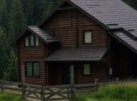 Forest House