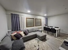 100 sqm apartment with sauna, free parking