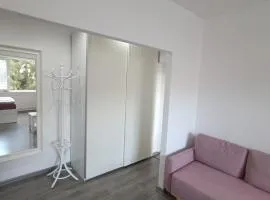 1-room apartment