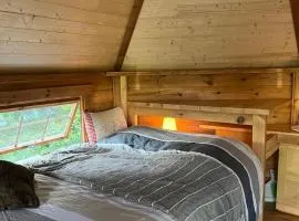 La Kota des Bois