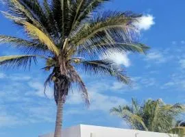 Casitas Gemelas En Puerto Chelem D3