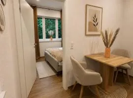 Modernes cozy Apartment im Herzen von Sankt Wendel für 2 Personen