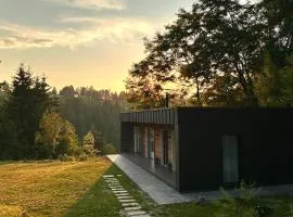 Cabana Forest