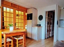 Dorfgastein Mountain Property - Charming