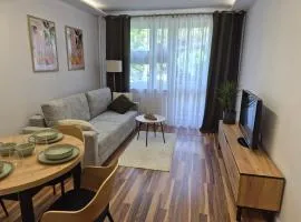 Apartament przy Dworcu Sanok