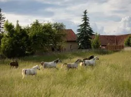Siedlisko Agricola Mazury