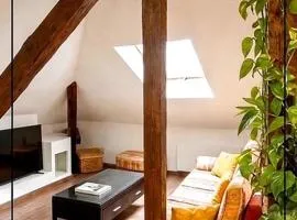 Exceptional loft Near Colmar center