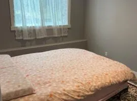 Rooms near Seatac airport on bus line