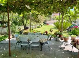 Green Atelier Garden near Kotor