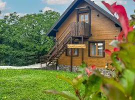 Awesome Home In Sveti Ivan Zelina With Sauna