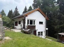 Bergluftwohnung Zirbenzapfen