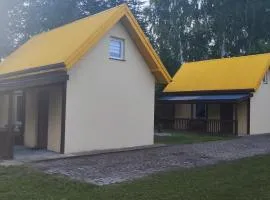 Domki pod brzózkami