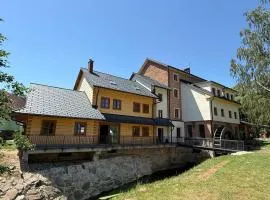 Feltlův mlýn v Borovnici