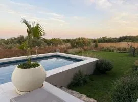 Domaine El Noor Pool and Panoramic Olive Grove Views