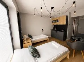 Dla przyjaciół Apartament nad Jeziorem