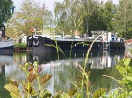 Gite De Marinier - Insolite