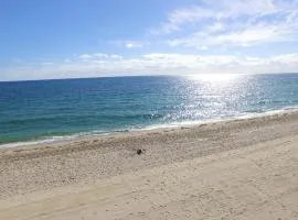 Best Florida Resort
