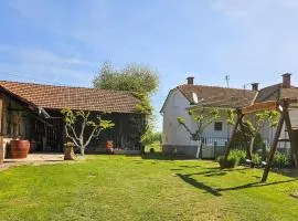 Gorgeous Home In Ferdinandovac With Wifi