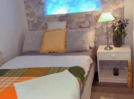 BAPA STAYs house by the Ivö lake room B