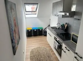 Casa Lauriacum - cozy apartment up to 8 guests