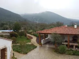 Quinta de São João