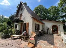 AllgaierArt-House