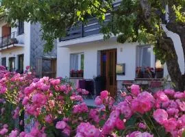 "Cattus" studio apartman