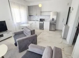 Pavicevic apartment