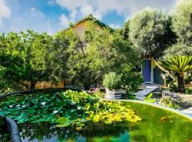 Olive tree Cottages