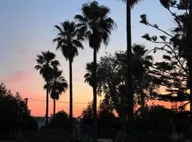Finca Los Olivos & spa, animaux