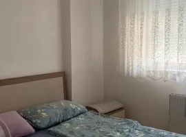 rroni apartment
