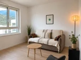 A cosy and bright studio in Sion