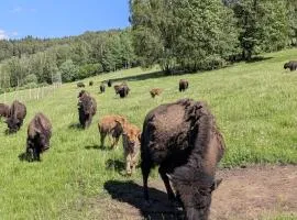 Caldisfarm Bison Lodge I Rustikale und grosszügige Ferienwohnung