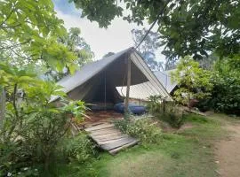 Freedom Camp, Ella