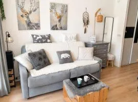 Studio Le Cocon des Cimes Point Show Pelvoux residence